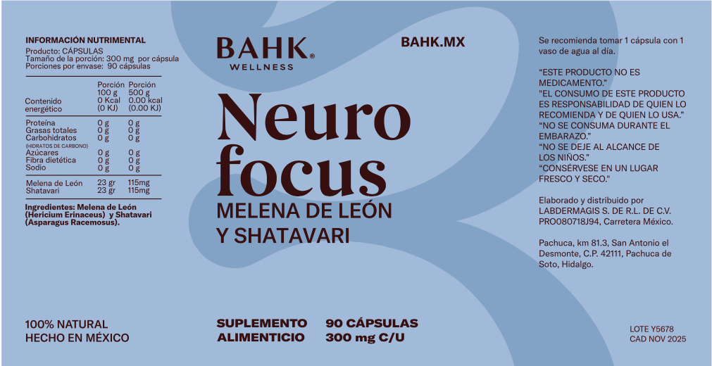 Neuro focus
